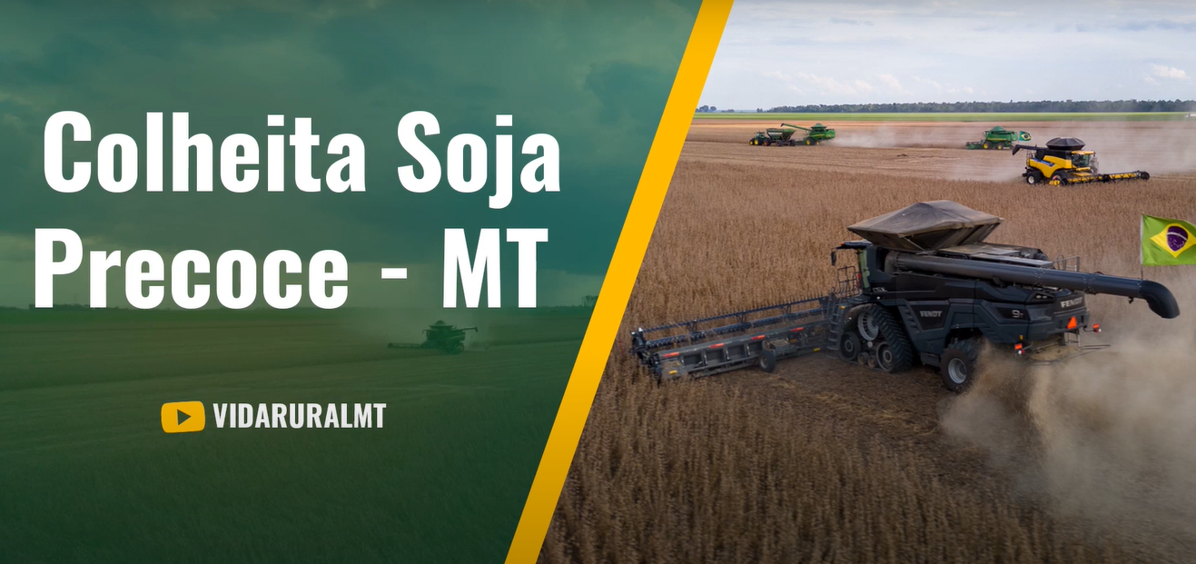 PRODUTOR INICIA DE COLHEITA DE SOJA COM BAIXA PRODUTIVIDADE